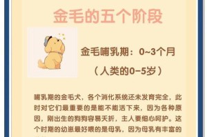 金毛犬的口腔保健（保持宠物金毛的口气清新和牙齿健康的关键）