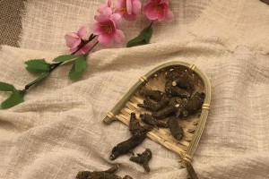 狗狗前列腺出血的治疗药物与方法（科学用药助力狗狗康复，）