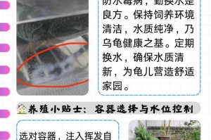 乌龟疗法（探寻乌龟疗法的疗效与应用领域）
