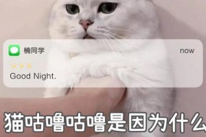 以猫割声带的危害性（割声带对猫咪健康的长期影响及注意事项）