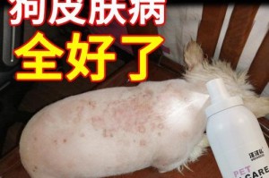 如何控制狗狗掉毛问题？（了解狗狗掉毛原因，选择合适的药物帮助解决）
