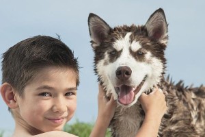 幼犬喂食与照顾的技巧（为你的幼犬提供正确的饮食和照顾）