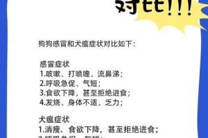 人类感冒是否会传染给狗狗？（狗体温高，是否免疫感冒？一起了解一下吧！）