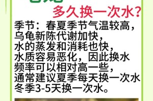 乌龟的生活习性及其对饲养的帮助（探索乌龟的生活方式，提高饲养效果）