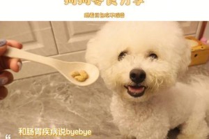 比熊如何养胖？（探寻比熊的食欲之路）