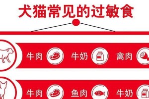 狗过敏后应避免食用的食物（狗过敏患者需要注意的饮食禁忌及养生之道）