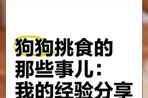 狗狗挑食坏处及应对方法（解决狗狗不吃饭的实用技巧）