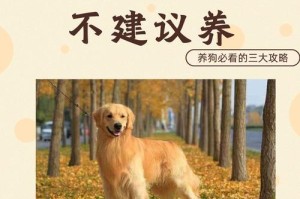 金毛剃毛后多久才能长出新毛（探索金毛剃毛后的毛发再生周期及影响因素）