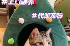 最全托运宠物指南（细致解读以假期出远门如何安全托运宠物，详细指南一网打尽）