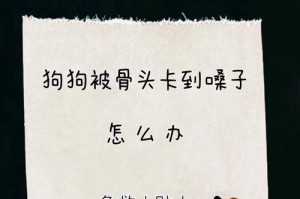 鸡肠子的煮熟时间对狗的喂养影响（合适的煮熟时间能提供营养丰富的食物）