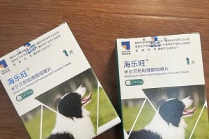柯利犬的常用药物及治疗方案（保障柯利犬健康的关键药物选择与用法）