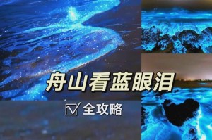 揭秘知名训犬机构虐狗黑幕（400元可买训导师资格证，涉嫌犯罪，严惩不贷）