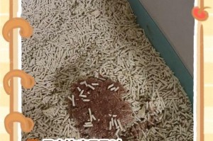 猫咪绝育后尿血怎么回事？（血尿和乱拉尿的原因及解决方法）