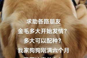 母狗配种需要多久？（探究母狗配种的时间周期和影响因素）