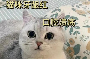 猫口腔溃疡的原因、症状与治疗方法（探究猫口腔溃疡的成因、表现及如何有效治疗）