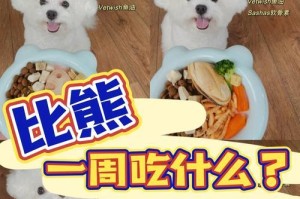 以比熊幼犬什么时候吃零食（了解比熊幼犬的零食适宜时机）