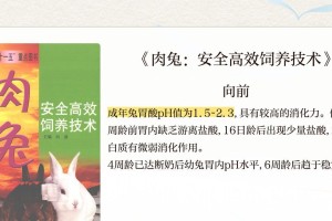 兔子肠胃疾病的预防与治疗（了解兔子肠胃疾病的常见类型及预防措施）