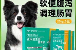 换食物后为何边牧会出现拉稀情况？（边牧食物转换引起的拉稀原因分析及应对方法）
