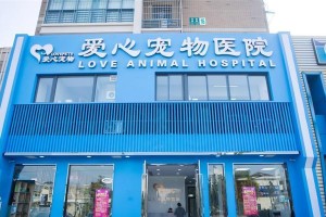 如何开设一家宠物医院？（探索宠物医院创业的关键要素和成功因素）