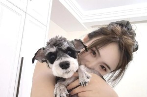 雪纳瑞为什么喜欢咬人？（探究雪纳瑞咬人行为的原因及解决方法）