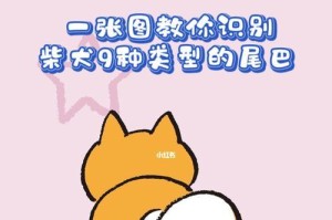 探索卷尾狗的多样性（揭开卷尾狗的神秘面纱，了解这些与众不同的狗的特点与历史）