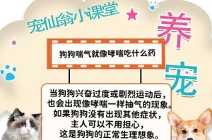 金毛流鼻涕发烧怎么办？（了解病因，正确处理，选择合适药物）