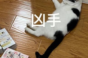 为什么猫喜欢咬东西？（探究猫咬东西的原因及解决办法）