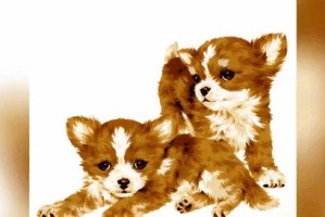 探索狗狗的好色本性（从品种特点到行为表现，揭秘狗狗的好色之谜）