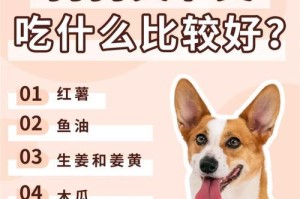 狗狗膝关节损坏（宠物狗膝关节损坏的症状、常见原因和有效预防方法）