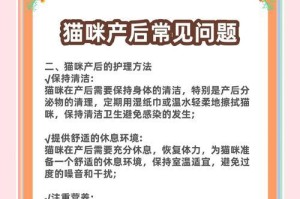 如何判断猫咪是否怀孕？孕期该如何护理？（如何准确判断猫咪是否怀孕以及如何进行孕期护理）