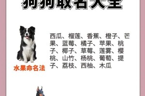PopularEnglishNamesforDogs