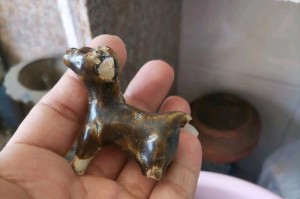 茶杯狗——小巧玲珑的宠物选择（茶杯狗的价格、特点和养护）