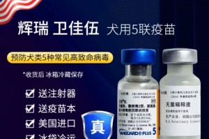 揭秘卫佳5打多久的奥秘（体验卫佳5的持久力，探寻其让人着迷之处）