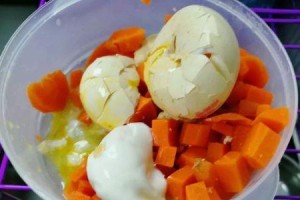 斗牛犬的健康饮食指南（以什么食物为主，让斗牛犬保持健康活力）