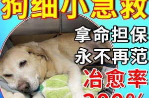 治疗小狗细小的有效药物（了解细小病毒及其治疗药物，保护小狗免受疾病侵害）