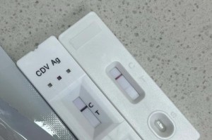 比熊黑色素研究的意义与进展（探索比熊黑色素的形成机制及其在生物体中的功能与应用）