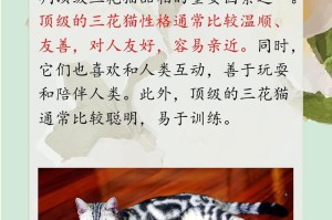 三花猫的独特魅力（探索三花猫的外貌、性格与习性）