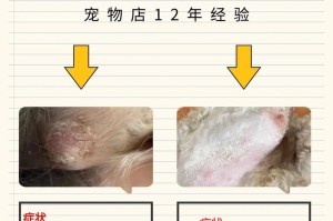 狗狗的皮肤病（探讨常见的狗狗皮肤问题，并提供有效的治疗方法）