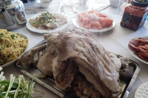 以手养鸟，合理饮食需多样化（了解适合鸟类食用的食物种类和营养需求）