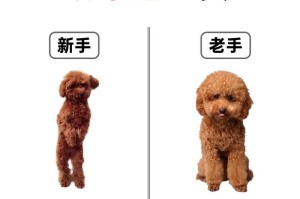泰迪的生理期（探究泰迪狗狗的生理周期以及如何处理相关问题）