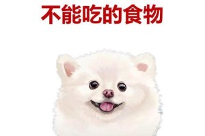 博美幼崽的饮食需求及健康指导（了解博美幼崽的饮食习惯和食物选择，助力它们健康成长）