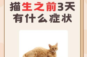误解！给猫咪补钙不一定靠吃生肉（揭开补钙谣言，了解正确方法与注意事项）