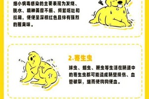 狗的大便会在地上停留多久？（探究狗大便在户外的耐久性）