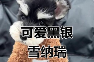 了解雪纳瑞黑银和白色指甲的特点（雪纳瑞黑银5白指的颜色特征和遗传规律）