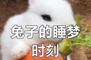 兔子不能以米为主食的原因（探究兔子不能吃米的科学依据）