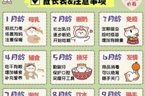 合理的幼犬喂食时间与频率（为你的幼犬制定科学的饮食计划，它将成为你的忠实伙伴）