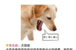狗狗咳嗽的原因和治疗方法（探究狗狗咳嗽的不同原因及如何处理）