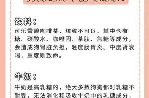 狗狗的饮水需求（狗狗的水分摄入量与健康息息相关）