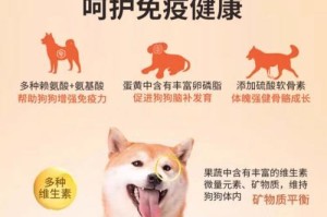 avoderm狗粮保质期到底有多长？（探究avoderm狗粮的保质期及其关键因素）