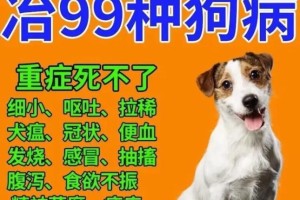 宝宝的康复之路——小狗细小病愈时间探究（小狗细小的康复周期、）